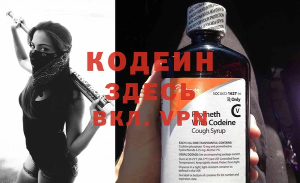 молекула духа Козельск