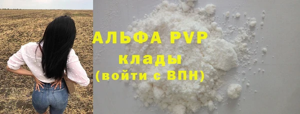 молекула духа Козельск