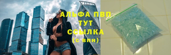 молекула духа Козельск