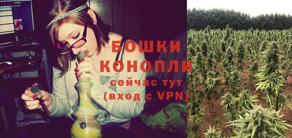 молекула духа Козельск