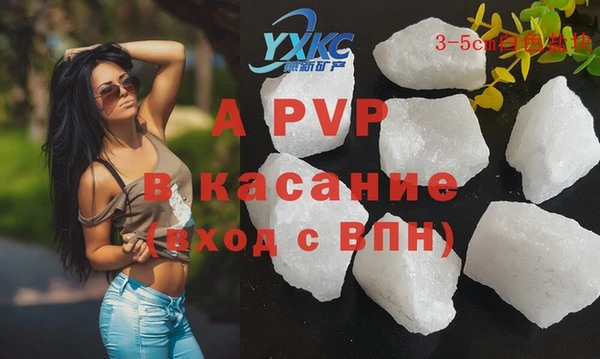 молекула духа Козельск