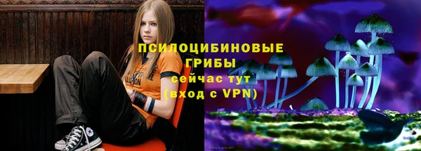 молекула духа Козельск