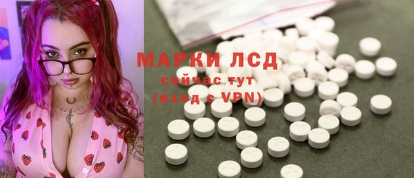 молекула духа Козельск