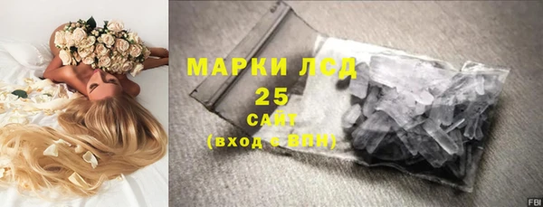 молекула духа Козельск