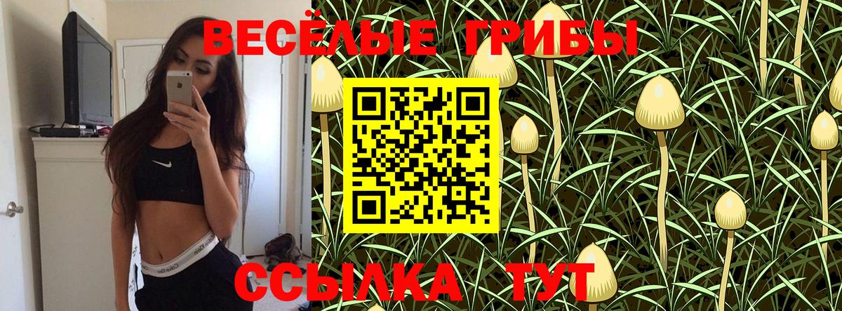 Галлюциногенные грибы GOLDEN TEACHER Корсаков