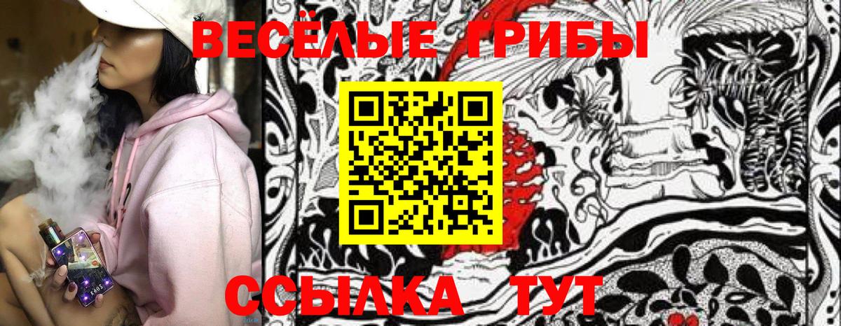 Корсаков  Галлюциногенные грибы Magic Shrooms  Вход с VPN 